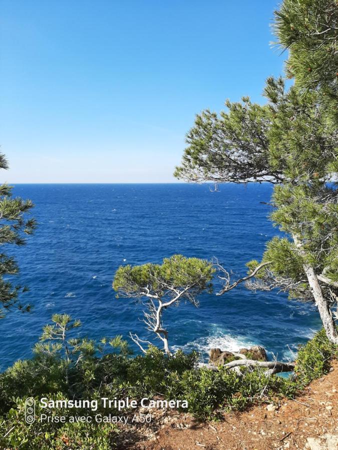 Villa Securisee Pres Des Lecques Saint-Cyr-sur-Mer Buitenkant foto